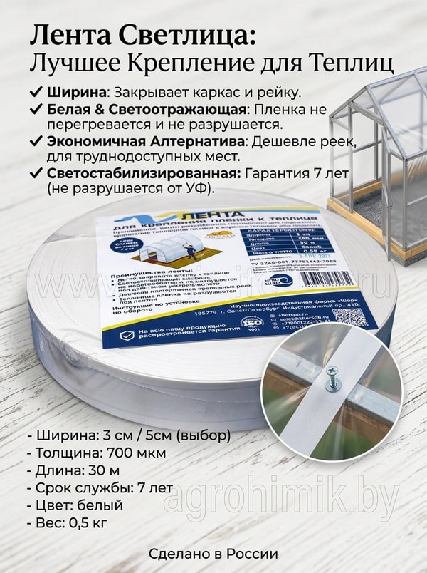 Лента